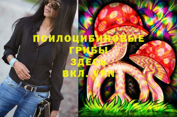 не бодяженный Арсеньев