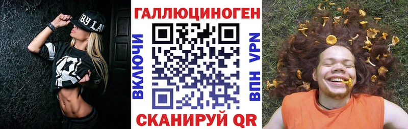 OMG ONION  купить закладку  Салаир  Псилоцибиновые грибы Psilocybine cubensis 